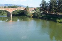 Bollettino della qualità delle acque del fiume Arno