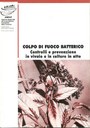 Colpo di fuoco batterico