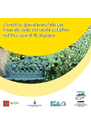 L'archivio georeferenziato per il censimento del verde pubblico del Comune di Rosignano Marittimo (LI)