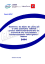 Modellistica del Bacino del Cecina per la tutela quantitativa e l'ottimale gestione delle risorse idriche della Val di Cecina e nella fascia costiera livornese compresa tra Rosignano e Bibbona