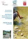 Monitoraggio della qualità delle acque superficiali e sotterranee nell'area geotermica del Monte Amiata - anno 2018