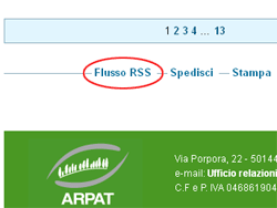 link al flusso RSS posto in fondo alla pagina