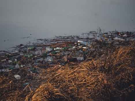 Rifiuti plastici nel mare della Toscana