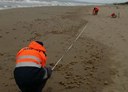 Rifiuti sulle spiagge della Toscana