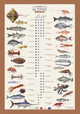 calendario del pescato