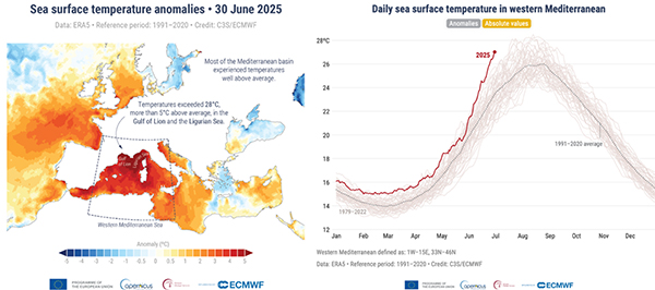 anomalie temperatura