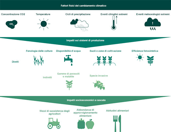 impatti-cambiamenti-climatici-su-agricoltura.jpg