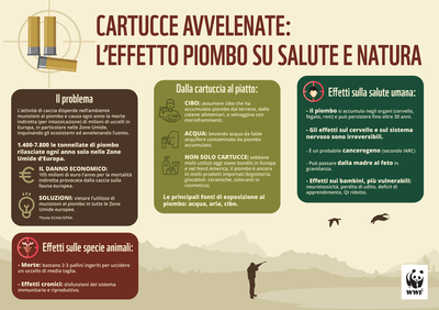 infografica cartucce avvelenate WWF