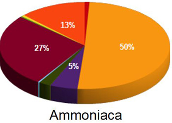 contributi-ammoniaca.JPG