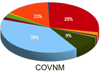 contributi-covnm.JPG