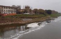 Arno: presenza di schiume 