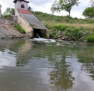 tracce di schiuma nel fiume Elsa