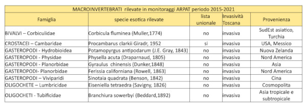 macroinvertebrati