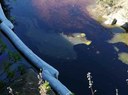 Sversamento nel fosso Capannone a Livorno da una condotta della Raffineria Eni
