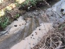 Pistoia: intervento ARPAT sul torrente Stella