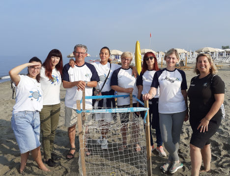 A Poveromo (Massa) il primo nido di tartaruga marina in Toscana per la stagione 2025