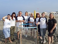 A Poveromo (Massa) il primo nido di tartaruga marina in Toscana per la stagione 2025