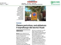 Diagnosi per abbattimento platani: non è compito di ARPAT