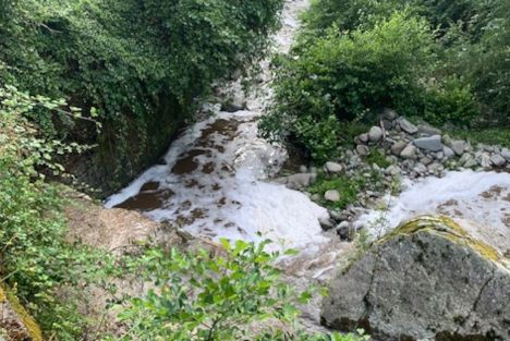 Presenza di schiuma nel torrente Pescia (PT)