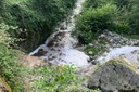 Presenza di schiuma nel torrente Pescia (PT)
