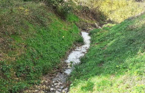 Sversamento di liquido lattiginoso nel fosso Ponticello a Caldine, Fiesole (FI)