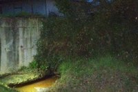 Sversamento idrocarburi a Montecarlo (LU)