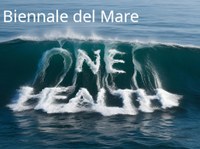Monitoraggio e gestione degli impatti sull'ambiente marino