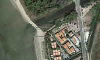 Aggiornamento per moria di pesci nel Canale Solmine a Scarlino (GR)