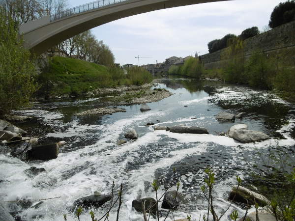 Cantagallo: presenza di schiume nel Bisenzio