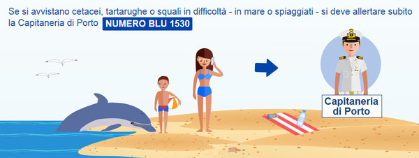 Se si avvistano delfini, tartarughe o squali, spiaggiati o in avaria, segnalare immediatamente alla Capitaneria di porto - Numero blu 1530