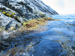 Isola di Montecristo