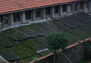 am_tettoia.jpg