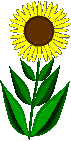 ar_fiore.gif