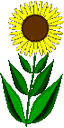 ar_fiore.gif
