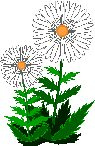 ar_fiori.gif