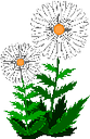 ar_fiori.gif