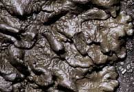 ar_image100.jpg