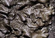 ar_image100.jpg