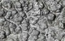 ar_image101.jpg
