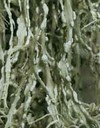 ar_image104.jpg