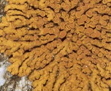 ar_image109.jpg