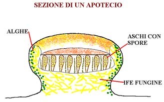 ar_image112.jpg