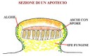 ar_image112.jpg