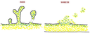 ar_image113114.gif