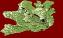 ar_image158.jpg