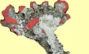 ar_image159.jpg