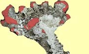 ar_image159.jpg