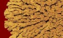 ar_image160.jpg