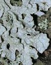 ar_image80.jpg