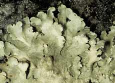 ar_image82.jpg